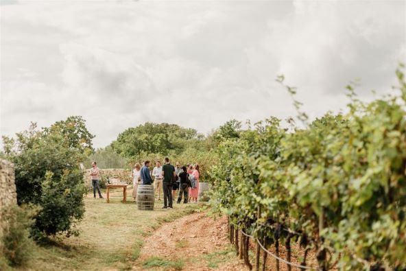 Vinarija Meneghetti savršeno mjesto za luksuzni jesenski izlet