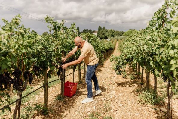 Vinarija Meneghetti savršeno mjesto za luksuzni jesenski izlet