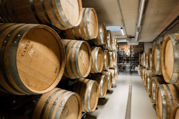 Vinarija Meneghetti savršeno mjesto za luksuzni jesenski izlet