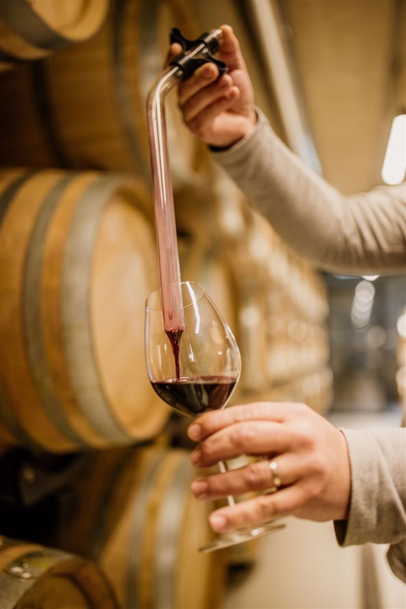Meneghetti Wine Hotel & Winery mjesto savršeno za luksuzan odmor