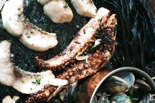 Gastro festival Chefs on Fire Portugal 2023