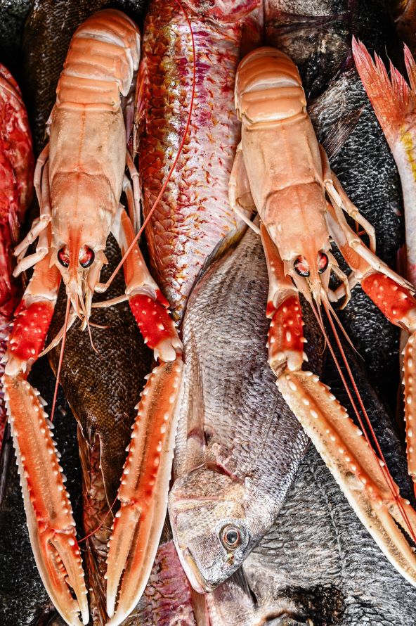 Fažanski restoran Sapore di Mare izvrstan je riblji restoran