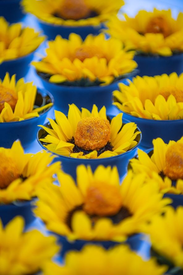 Bili smo na prvoj regionalnoj Veuve Clicquot Solaire Tables večeri u Zagrebu