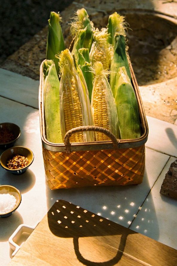 Recept za pripremu kukuruza na žaru i ražnjića od povrća