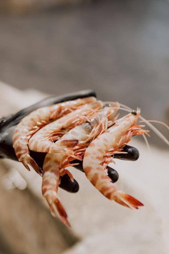 Jesen u Pelegriniju je u znaku najcjenjenijih gastronomskih namirnica