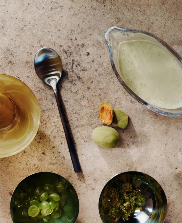 Pripremite Ajoblanco ili bijeli gazpacho