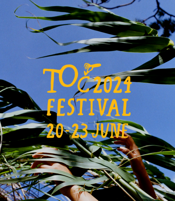 U Ninu se održava Toč festival
