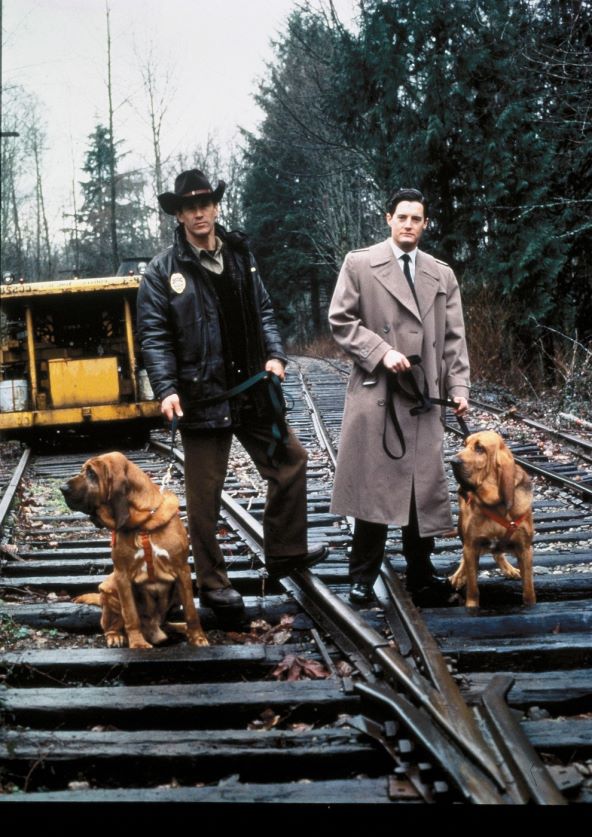Gdje pogledati Twin Peaks seriju Davida Lyncha