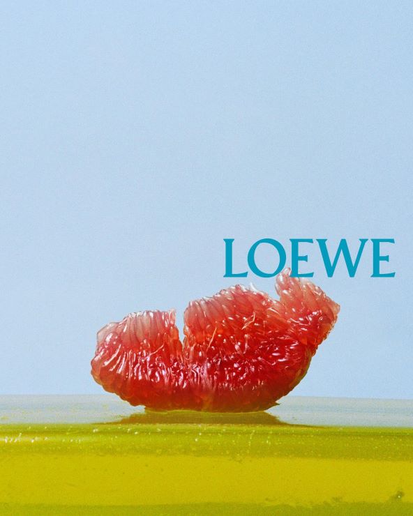 Loewe nova kampanja SS26