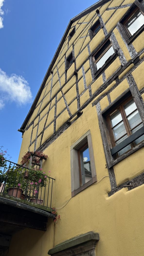 Ammar Mešić, Colmar