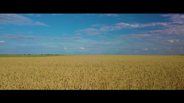 U san mi dodu_05.png