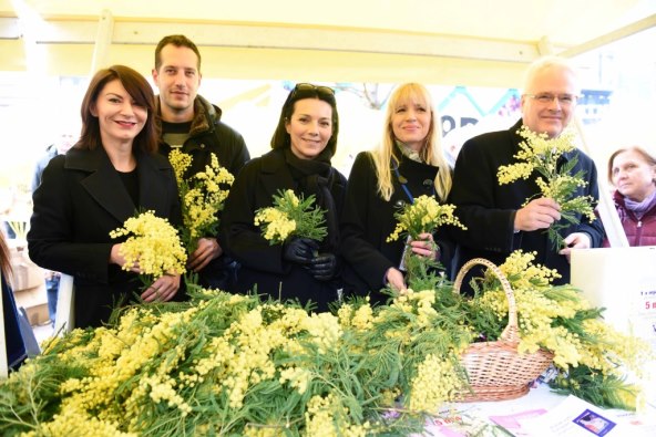 Poznati prodajom mimoza na Cvjetnom trgu prikupljali novac za oboljele od raka dojke