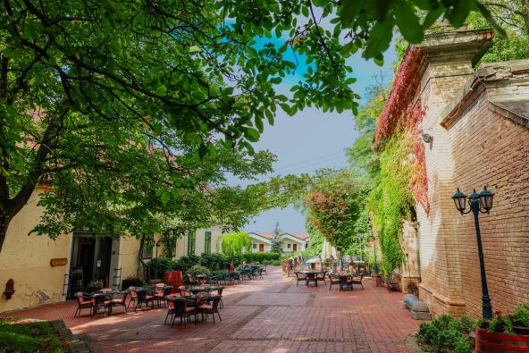 FOTO 1_Ilocki podrumi (1).jpg