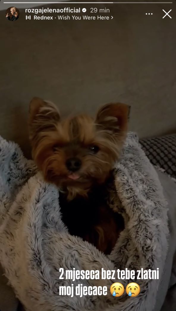 Jelena Rozga prisjetila se svog psa