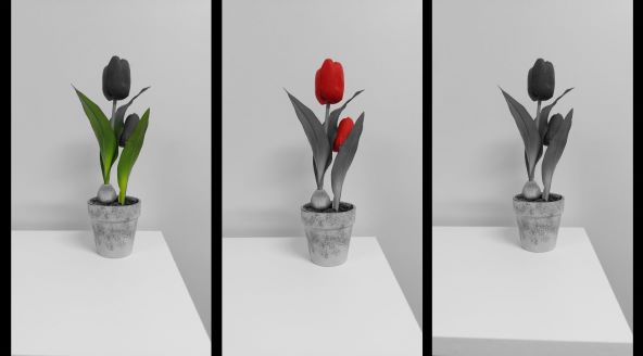 Telemach 5G Pro 2 Monocolor.jpg