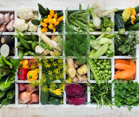 SHIZZ fotke canva2.png