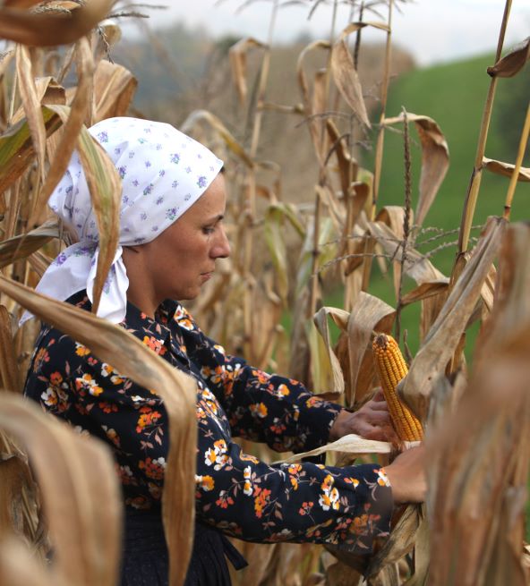 Hrvatska kuća Materina priča-4.jpg