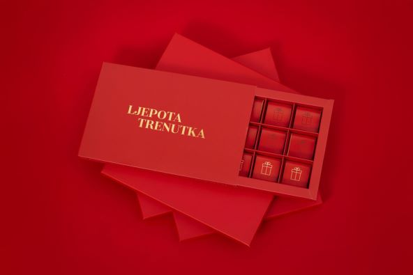 Ljepota trenutka