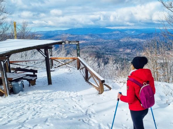 FOTO 2_lynx and fox delnice tour.jpg