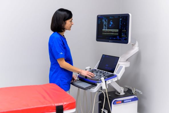 Voditeljica veterinara, Ivana Ćapeta.jpg