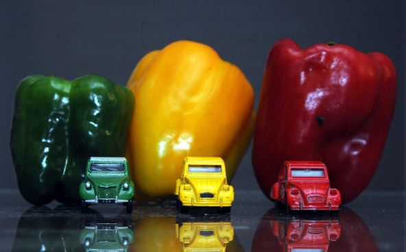 fotografija Lucio Vidotto 2.jpg