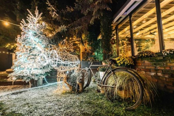 BOTANISTOVA SUMA DETALJI I.jpg