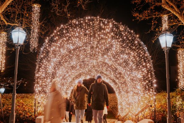 Samir Ceric Kovacevic_30112025_2Q7A6164.jpg