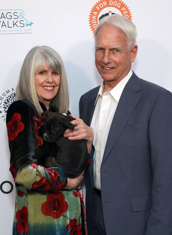 Mark Harmon, Pam Dawber