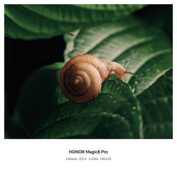 Fotografirano uređajem HONOR Magic8 Pro (1).jpg