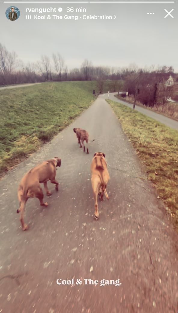 Ruben Van Gucht sa psima