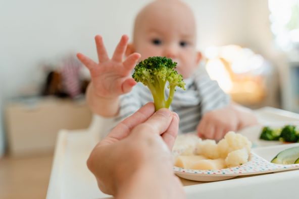 Razvoj bebe u prvoj godini - prekretnice po mjesecima