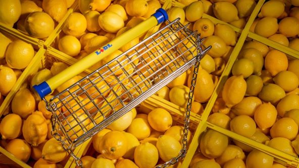 Lidl predstavlja Trolley Bag u drugoj suradnji s dizajnerom Nik Bentelom 3.jpg