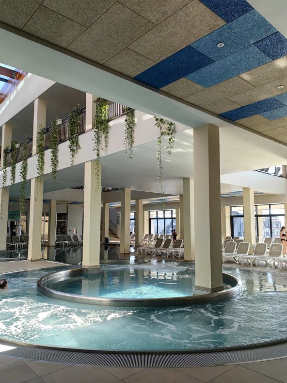 foto Nikola Zoko  (17).jpg