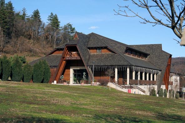 foto Nikola Zoko  (13).jpg