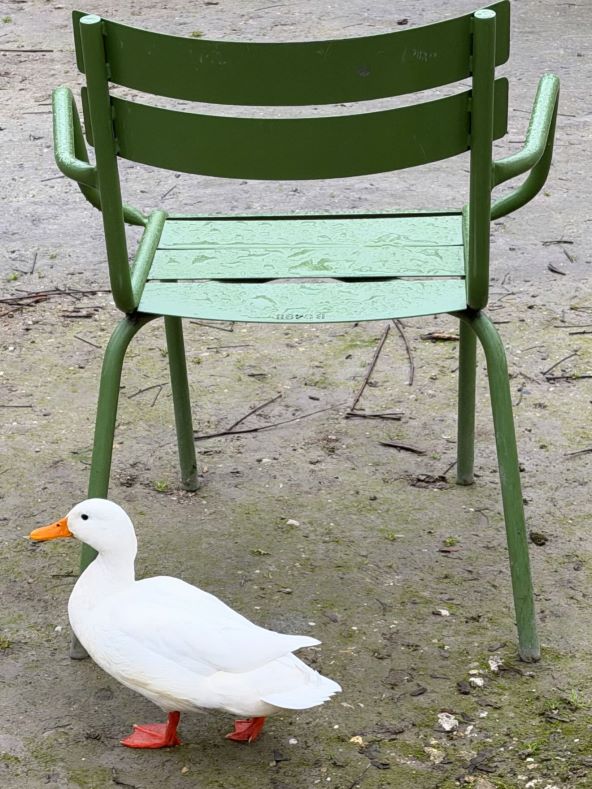 Dior stolica pozivnica