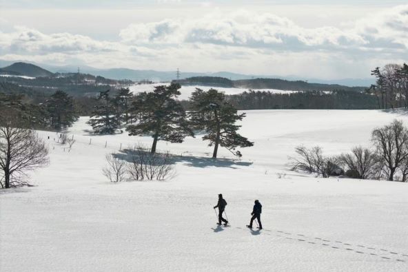 Azuma Farm 4.jpg.jpg