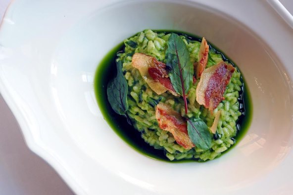 foto Nikola Zoko  (7).jpg