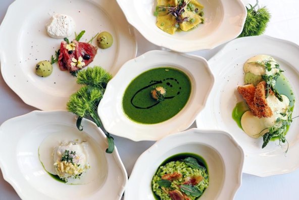 foto Nikola Zoko  (5).jpg