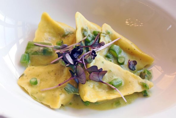 foto Nikola Zoko  (8).jpg