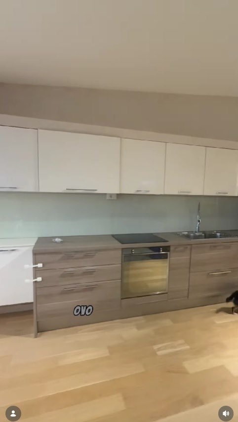 nataša janjić medančić