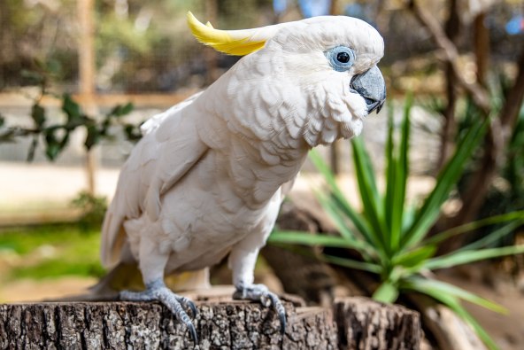 Nataša Sundara (20).jpg