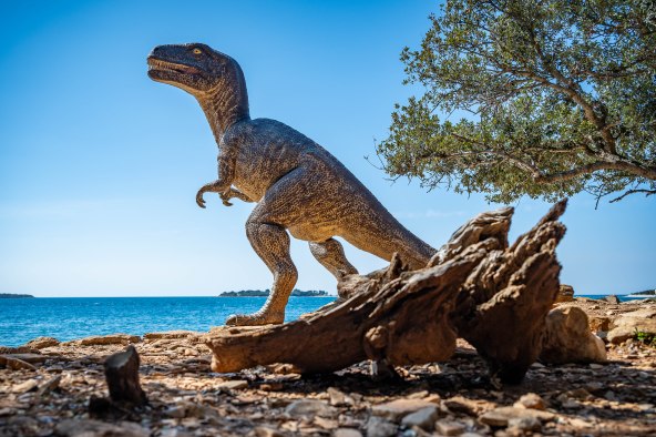 Nataša Sundara (18).jpg