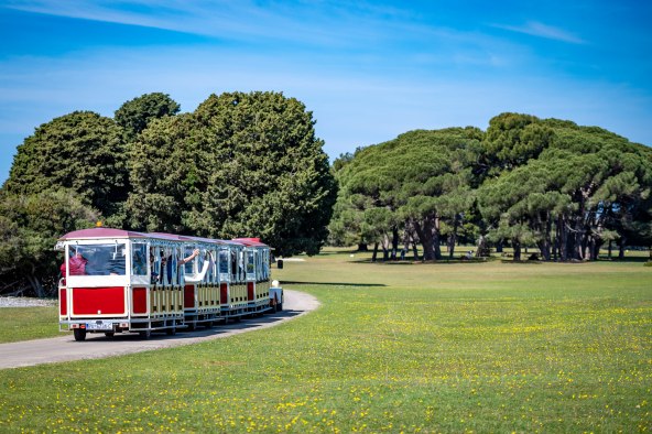 Nataša Sundara (26).jpg