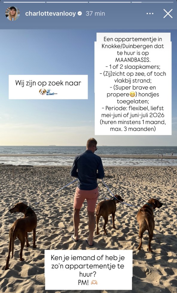 Ruben Van Gucht i Charlotte Van Looy traže stan