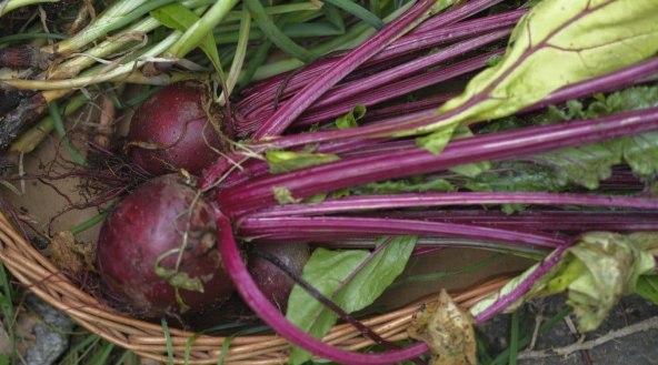 Lokalnost igra ključnu ulogu.jpg