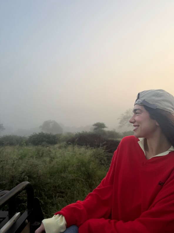 Dua Lipa safari 2026