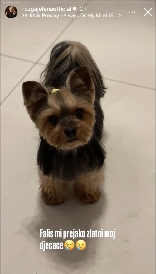 Jelena Rozga prisjetila se svog psa