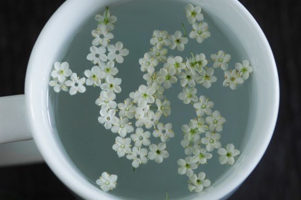 Kad cvijeće dođe na trpezu