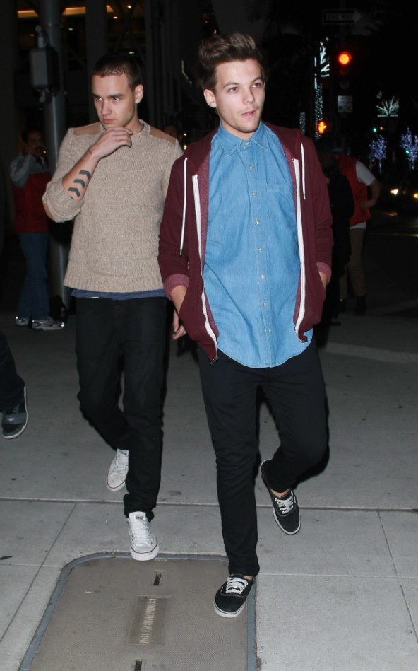 Stylish momci One Directiona prošetali Beverly Hillsom 