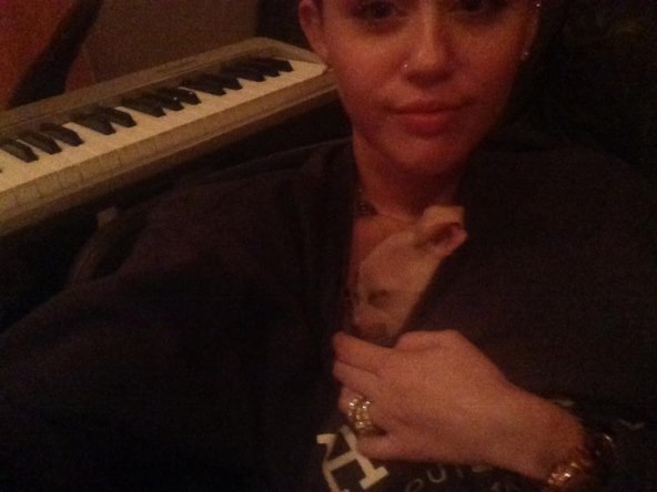 Miley Cyrus: "Kujica Bean je vratila sunce u moj život"